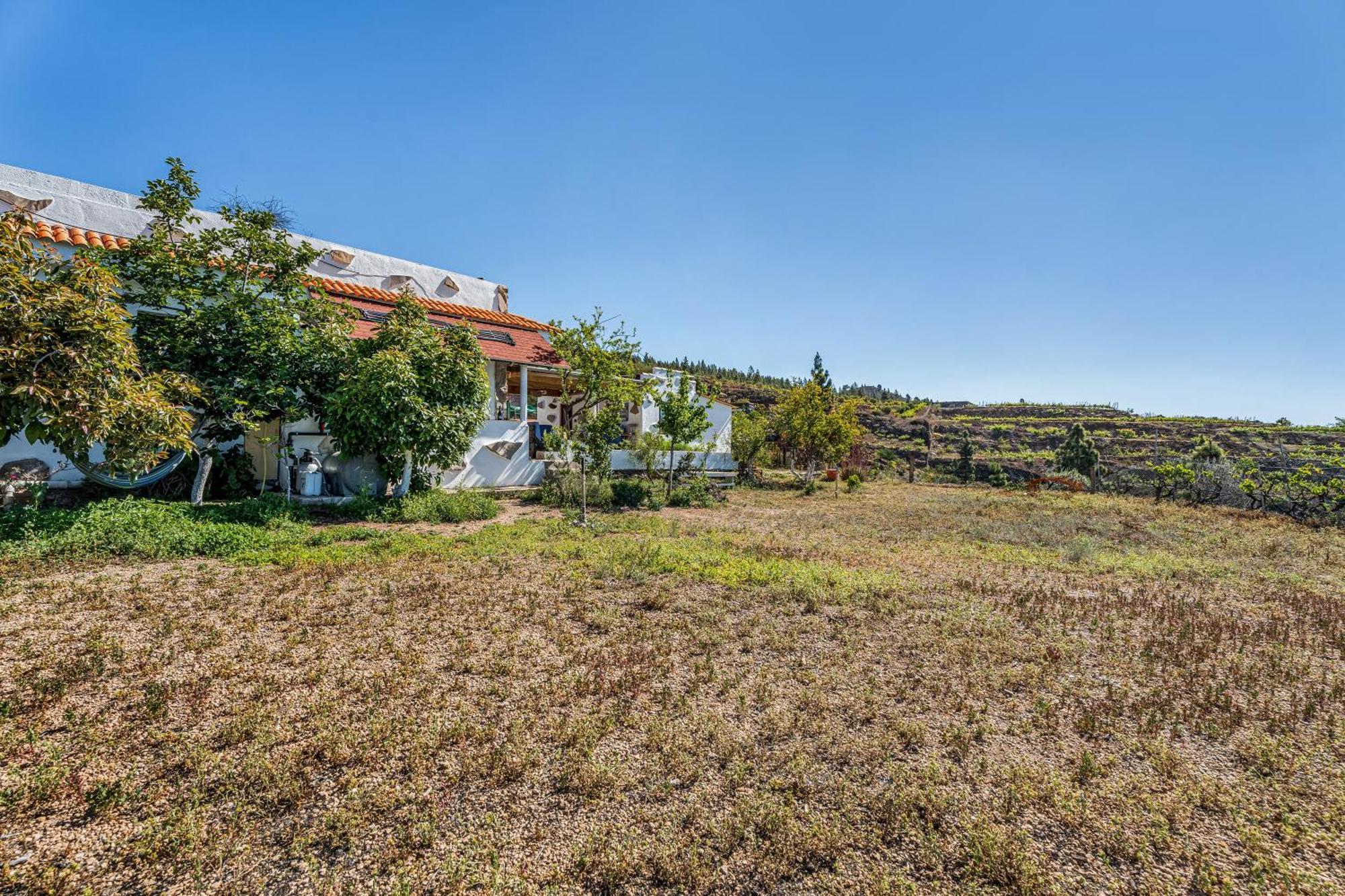 Land Of Dreams Villa Vilaflor Kültér fotó